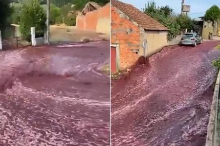 Portuguese town ‘flooded’ with 2.2 million litres of red wine after distillery tanks explode