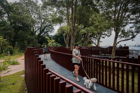 New coastal trail opens at Labrador Nature Park