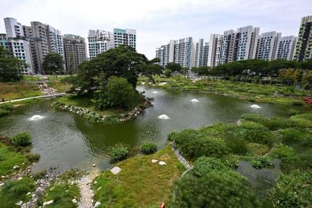 Bidadari has a freshwater lake that can prevent flash floods