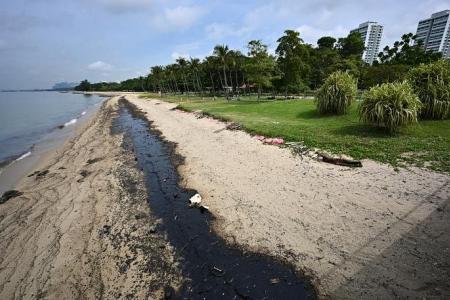 Oil spill incident: Singapore’s water supply not affected; local fish safe to eat