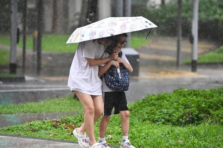 Dry conditions expected in first week of Dec, rain to return next week