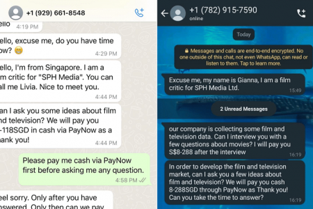 Scam survey on ‘film and television’ circulating on WhatsApp, not from SPH Media