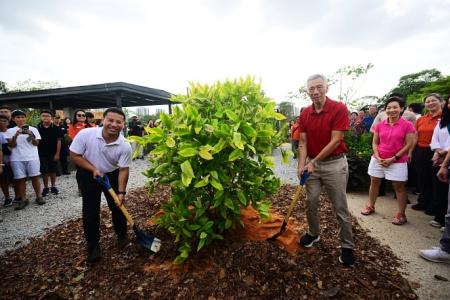 Taman Jurong's Chinese, Japanese gardens reopen