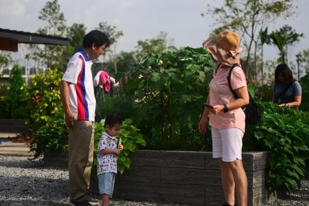 Taman Jurong's Chinese, Japanese gardens reopen