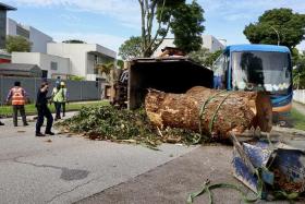 The accident happened near 2 Yishun Avenue 7 at 7.20am.