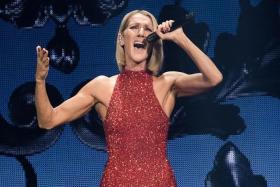 A 2019 photo shows Canadian singer Celine Dion performing on the opening night of her Courage World Tour.