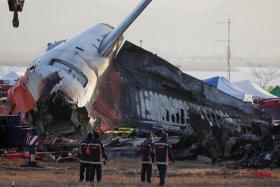 All 175 passengers and four of the six crew were killed when a Jeju Air Boeing 737-800 belly-landed and skidded off the end of the runway.