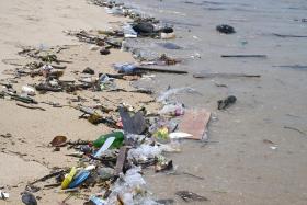 A new study revealed that most trash washed upon Singapore&#039;s coasts originated offshore and not from inland sources.