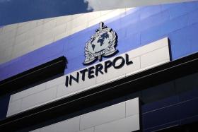 Interpol confirmed that Singapore was a participating country in Operation Liberterra II but did not provide details on the Republic’s involvement.