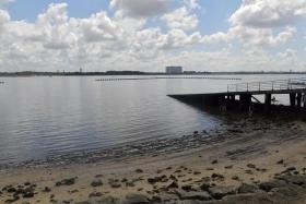 NEA is advising beach goers not to swim at Pasir Ris Beach and Sembawang Park Beach (pictured) due to elevated levels of Enterococcus bacteria.