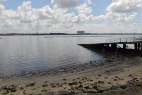 Beachgoers are advised against swimming or engaging in activities where the whole body or face comes into frequent contact with the water at Sembawang Park Beach.