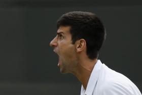 Novak Djokovic lost his cool at a ball girl during his Wimbledon match against Kevin Anderson.