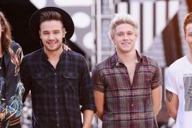 What will One Direction (from left:  Harry Styles, Liam Payne, Niall Horan and Louis Tomlinson) be doing during their long hiatus?