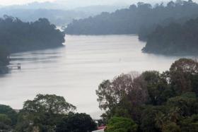 MacRitchie Reservoir