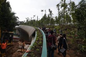 Mandai Wildlife Bridge