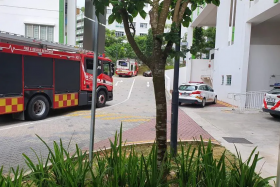 Police officers and SCDF officers were deployed over concerns that the man would harm himself or others. 