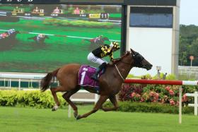 Golden Monkey (Jake Bayliss) scoring an emphatic win in the Group 2 Singapore Three-Year-Old Classic (1,400m) on July 9. 