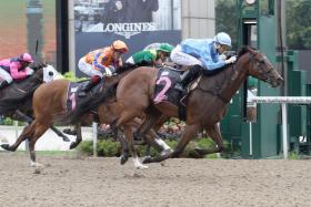 Big Hearted (No. 2) could be the best of trainer Michael Clements’ quartet in Saturday’s Group 1 Queen Elizabeth II Cup over 1,800m at Kranji. Clements also has Top Knight, Prosperous Return and Tangible in the $300,000 race. 