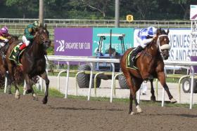 The Ricardo Le Grange-trained Hongkong Great (far right, Danny Beasley) scoring an emphatic win on the Polytrack at his third Kranji start. 