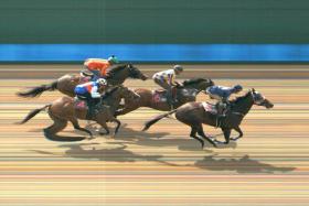 Wealth Elite (Simon Kok) getting the better of Augustano (Marc Lerner) by 1/2-length at the barrier trials at Kranji on Tuesday. 