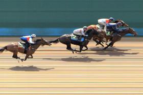 Coin Toss (No. 4) winning the last of five trials by coming from a long way back at Kranji on Thursday.