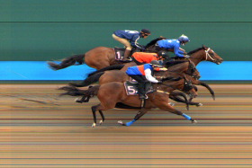 Relentless (Manoel Nunes, No. 5) finishing behind Gold Reward (Krisna Thangamani) and First Bowl (Danny Beasley). Newcomer My Determination (Simon Kok, No. 1) was fourth in the trial on Tuesday.