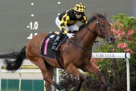 Champion trainer Tim Fitzsimmons’ smart debut winner Foxship (Manoel Nunes) is one of the horses to follow in the 2023 Singapore racing season, which kicks off on Jan 7.