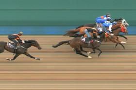 Cash Cove (Manoel Nunes, on the inside) holding on to beat Blue Idol (outside) by a nose in the third of four trials at Kranji on Thursday morning, with another nose to Pennywise. Helushka (No. 4) was a close fourth. 
