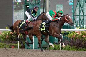 The Desmond Koh-trained Flying Nemo (Simon Kok) producing a blistering finish to beat Opunake (Mohd Zaki) in Race 10 on Monday.