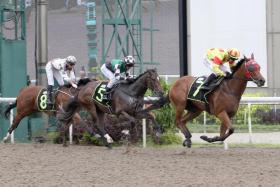 On Tuesday&#039;s sparkling gallop, the three-year-old looks ready to score at his fourth start at Kranji.