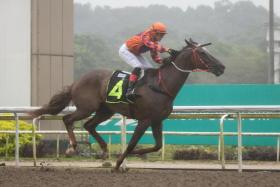 Last-start winner Last Samurai heads the interesting Class 4 Division 2 race over the Polytrack 1,200m on Saturday. He clocked a swift 36.1sec for 600m on Tuesday morning and will have plenty of admirers.