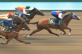 The Jason Lim-trained Thunder Star (Manoel Nunes) beating the Donna Logan duo of Luxury Brand (Yusoff Fadzli) and Trident (Simon Kok, No. 7) in a barrier trial on Tuesday. Pacific Bao Bei (Wong Chin Chuen, No. 8) ran fourth.