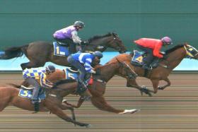 Angel Baby (Matthew Kellady) beating Teardrops (Ronnie Stewart) into second place in a barrier trial on Tuesday, with Major King (Manoel Nunes) and Hard Too Think (Marc Lerner) finishing third and fourth respectively.