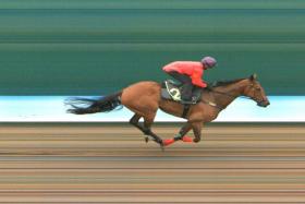 Red Ocean (Matthew Kellady) bolting home by seven lengths from Kwazii in their barrier trial on Tuesday. Sportscaster finished third. PHOTO: STC

