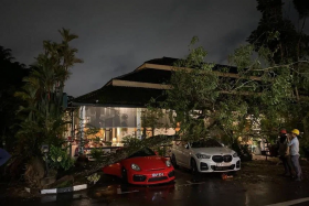 The tree landed on a red sports car and a white car in front of the restaurant Blu Kouzina in Dempsey. PHOTO: COURTESY OF VIVIAN TAN
