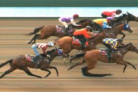 Golden Sentience (Marc Lerner, inside) scoring by a nose from Tributo (Vlad Duric, No. 3) with Fiddlestick (Mohd Zaki) third another short head away. PHOTO: STC
