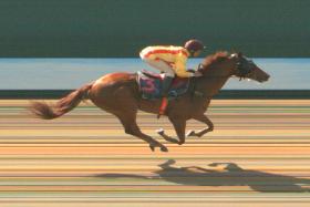 Jockey Wong Chin Chuen guiding Strong Ace to the line unchallenged in the only barrier trial on Tuesday morning. PHOTO: STC
