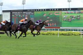 King Arthur (No. 2, apprentice jockey Yusoff Fadzli) staving off Sky Eye (Shafrizal Saleh) in a Kranji Stakes A event over 1,200m on turf on Oct 2, 2022. The duo will meet again in Sunday’s Class 1 race over the Polytrack 1,100m. PHOTO: STC