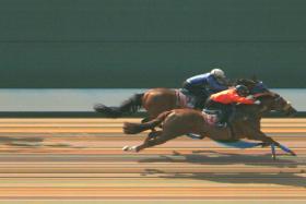 Southern Master (Manoel Nunes) beating Royal Commander (Koh Teck Huat) by a head in a barrier trial on Tuesday. PHOTO: STC
