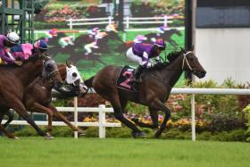 Sky Eye (Wong Chin Chuen) winning his last start easily in a Class 1 race over 1,200m on May 20. With Wong suspended for careless riding, trainer Jason Lim has booked Bernardo Pinheiro for the ride in Saturday&#039;s $110,000 Group 3 Kranji Sprint (1,200m). The Brazilian has a one ride-one win record on the horse. ST PHOTO: SYAMIL SAPARI
