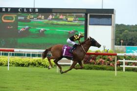 The Tim Fitzsimmons- trained Golden Monkey (Jake Bayliss) winning the Group 2 Singapore Three-Year-Old Classic (1,400m) on July 9, 2022. On his bright gallop on Tuesday morning, he can avenge his defeat by Super Salute in the Group 2 EW Barker Trophy (1,400m) in Sunday’s Group 3 Silver Bowl (1,400m). 