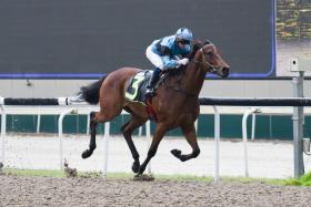 The Jason Lim-trained General Command (Manoel Nunes) coasting home an easy winner in the $85,000 Class 2 race over the Polytrack 1,100m on June 3. Still in top condition, he is expected to run a good race again in Race 11 on Saturday despite rising to Class 1. ST PHOTO: SYAMIL SAPARI
