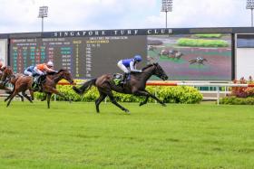 Bakeel (Manoel Nunes) winning first-up on July 2 and will start as one of the favourites in Sunday&#039;s Group 3 Singapore Golden Horseshoe (1,200m). PHOTO: STC