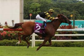 Likely Singapore Derby favourite Golden Monkey (Chad Schofield) scoring a bold victory for trainer Tim Fitzsimmons in the Group 2 Stewards&#039; Cup (1,600m) on July 2.  PHOTO: STC