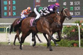 Red Ocean (Rozlan Nazam) springing a $120 upset three starts back in a Class 2 race (1,100m) on March 12. ST PHOTO: SHAHRIYA YAHAYA