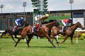 Clergyman (No. 1) getting up in the last stride to pip Fireworks (No. 11) by a nose on July 30. Fireworks should go one better on Sunday. ST PHOTO: SYAMIL SAPARI