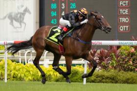 Mr Black Back scoring the second of his three wins with Manoel Nunes astride on Oct 15, 2022. All his three successes were saddled by Tim Fitzsimmons. He is now under the care of trainer Richard Lim. ST PHOTO: SYAMIL SAPARI
