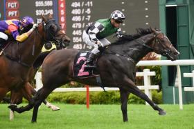 Lucky Hero (far left) just fails to catch Fight On (No. 2) by a neck over 1,200m on July 23. The extra 200m on Sunday should suit trainer Tim Fitzsimmons&#039; charge. ST PHOTO: SYAMIL SAPARI

