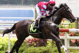 The James Peters-trained $6 favourite Last Supper (Vlad Duric) making a superb winning debut in the $75,000 Restricted Maiden Division 1 event over the 1,200m on turf in Race 2 at the Singapore Turf Club on Sunday. ST PHOTO: SHAHRIYA YAHAYA

