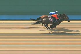 Major King (Manoel Nunes in red) fending off Renzo by a nose in Trial 2 on Tuesday, with third-placed Flaming Migliore five lengths adrift. 